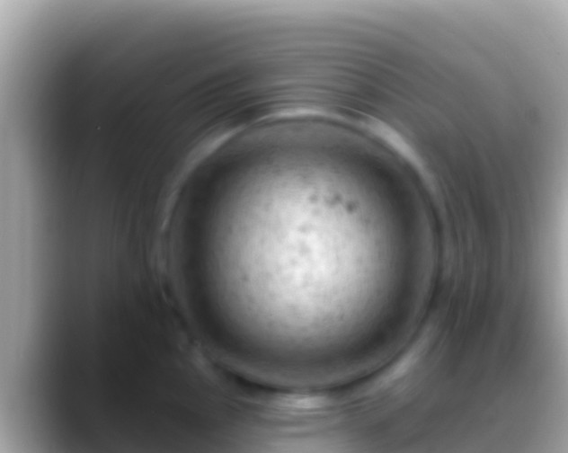 X0000088651145200706011216