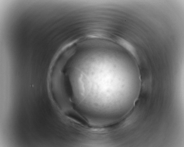 X0000088651146200706011216