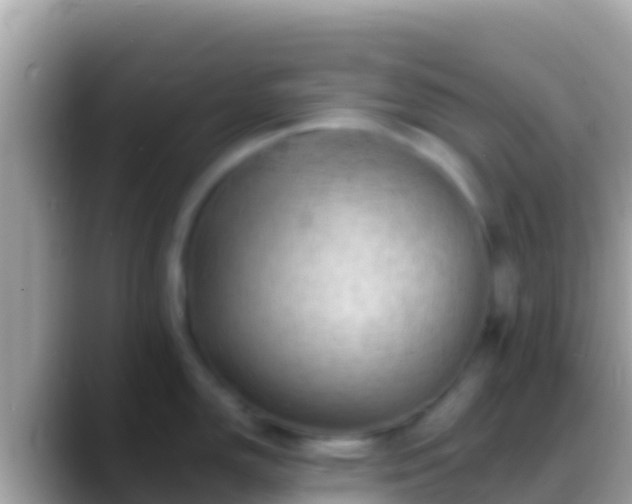 X0000088651150200706011216