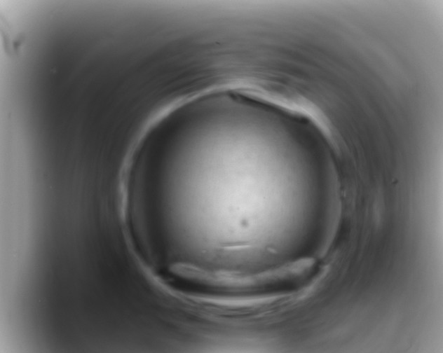 X0000088651151200706011216