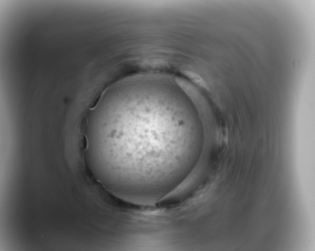 X0000088651153200706011216