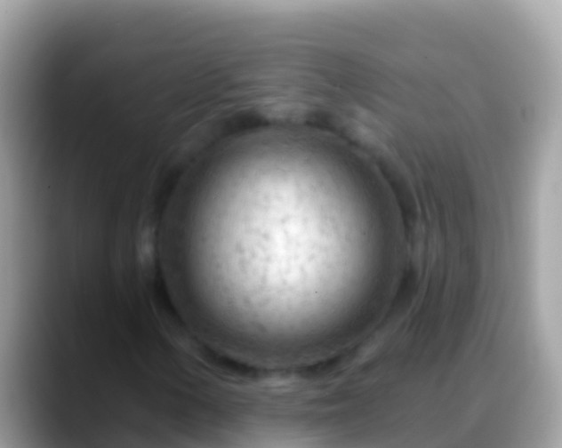 X0000088651154200706011216