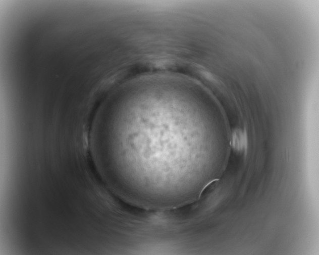 X0000088651155200706011216