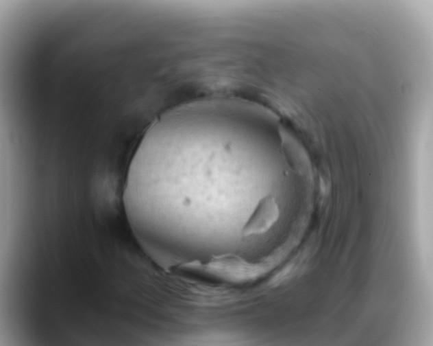 X0000088651156200706011216