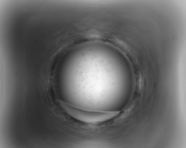 X0000088651157200706011216