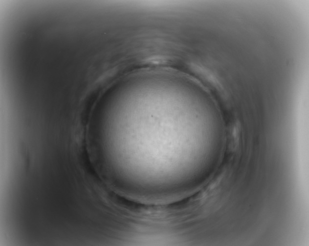X0000088651158200706011216