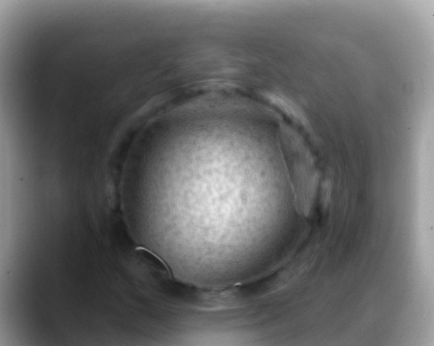 X0000088651159200706011216