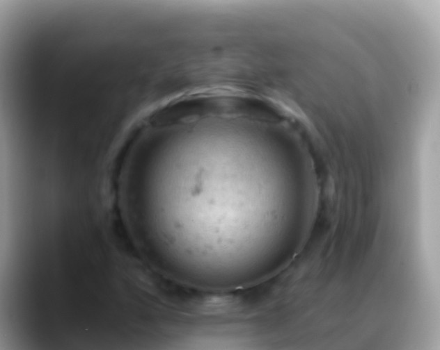 X0000088651160200706011216