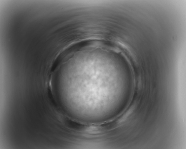 X0000088651161200706011216