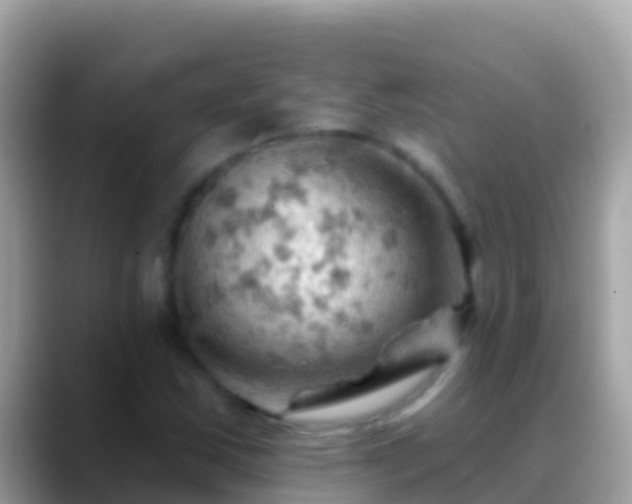 X0000088651163200706011216