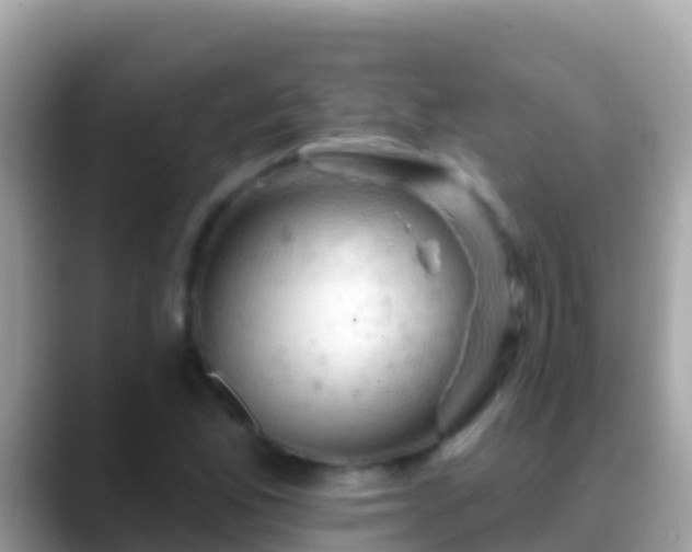 X0000088651165200706011215