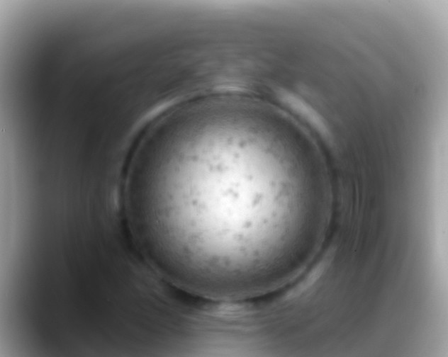 X0000088651166200706011215
