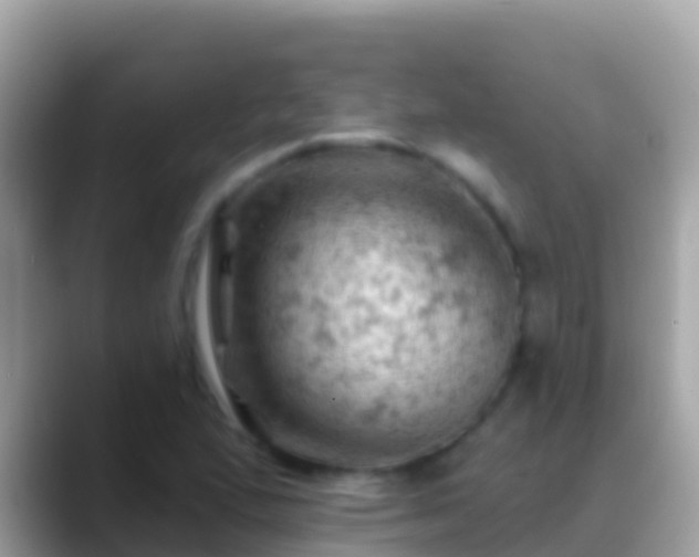 X0000088651167200706011215