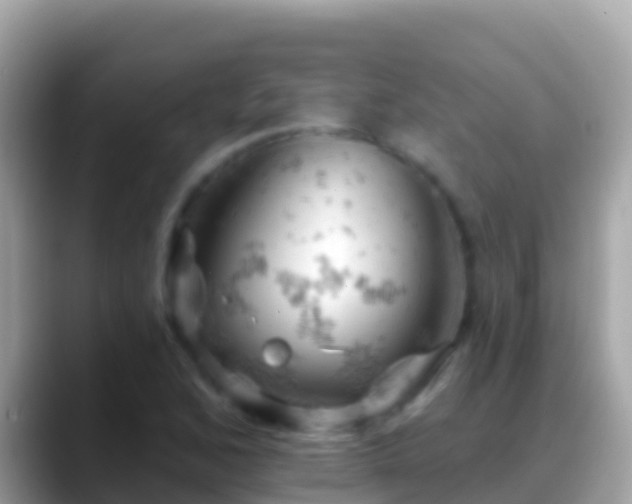 X0000088651168200706011215