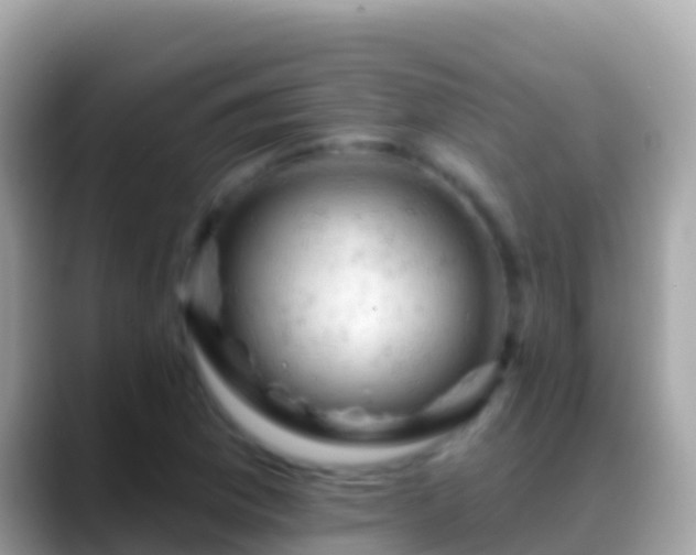 X0000088651169200706011215