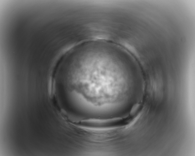 X0000088651171200706011215