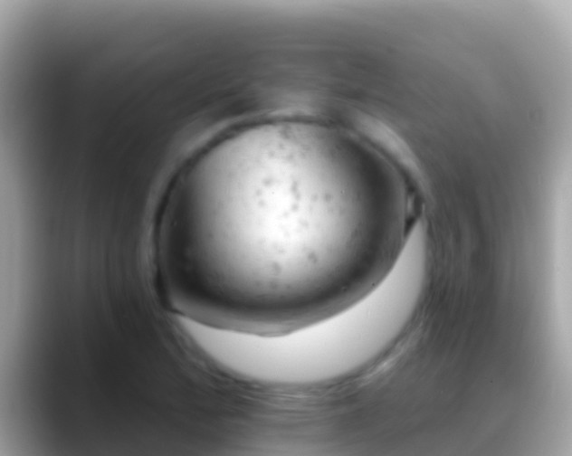 X0000088651172200706011215