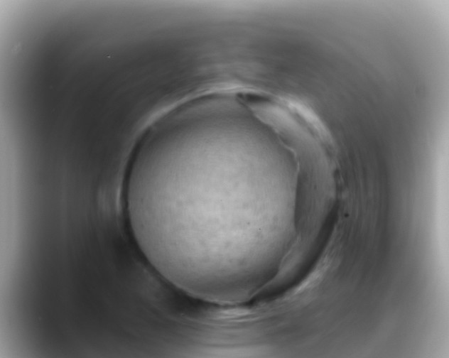 X0000088651173200706011215