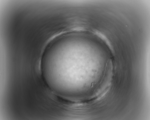 X0000088651174200706011215