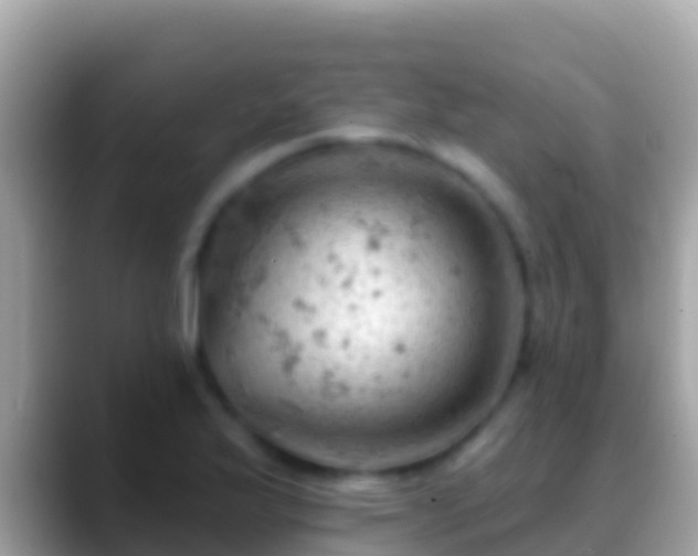 X0000088651175200706011215