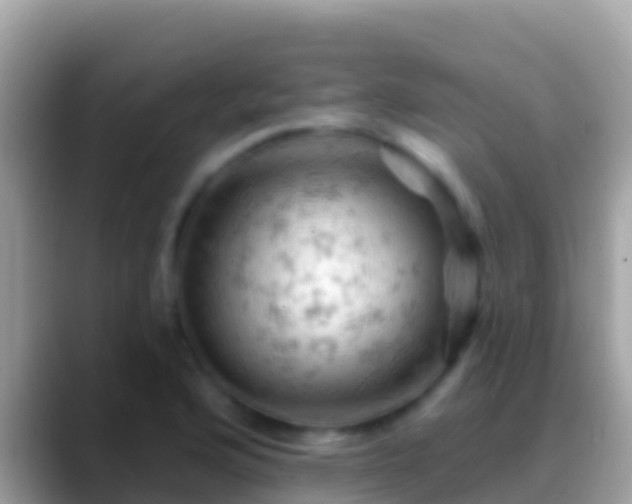 X0000088651176200706011215