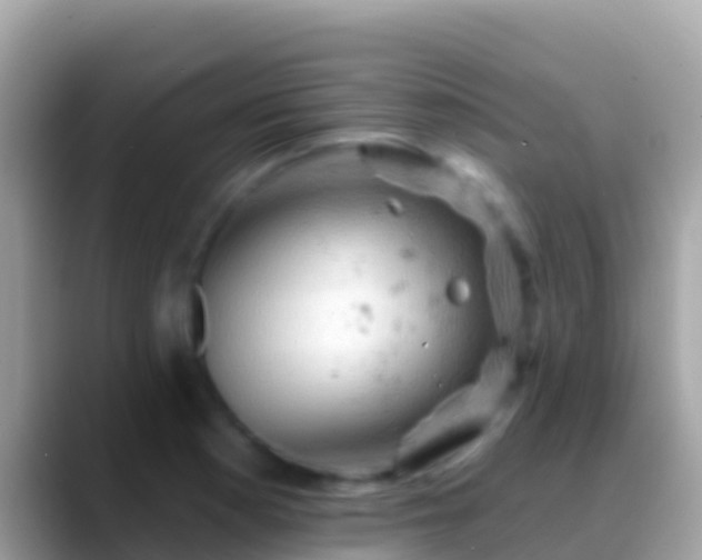 X0000088651177200706011215