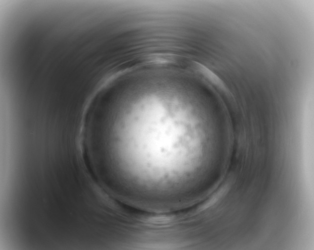 X0000088651178200706011215