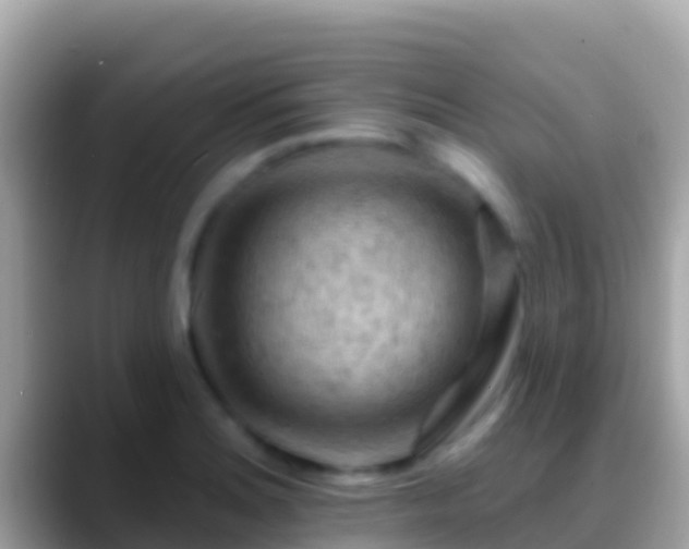 X0000088651180200706011215
