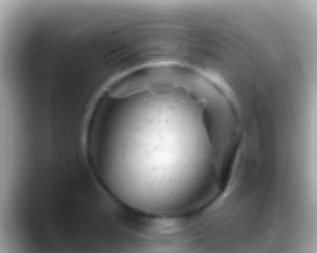 X0000088651181200706011215