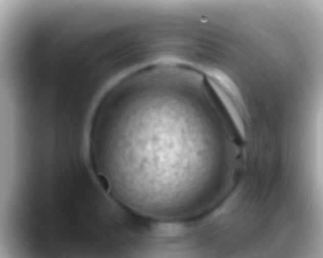 X0000088651183200706011215