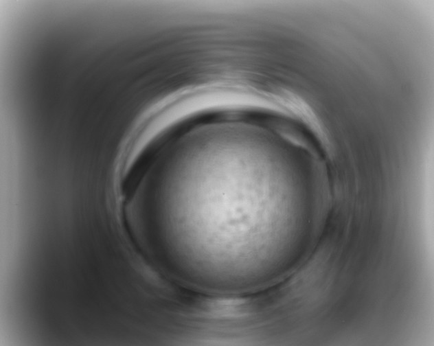 X0000088651184200706011215