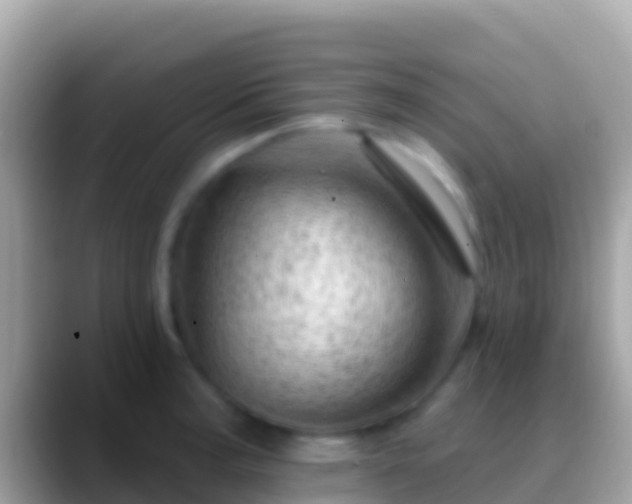 X0000088651187200706011215