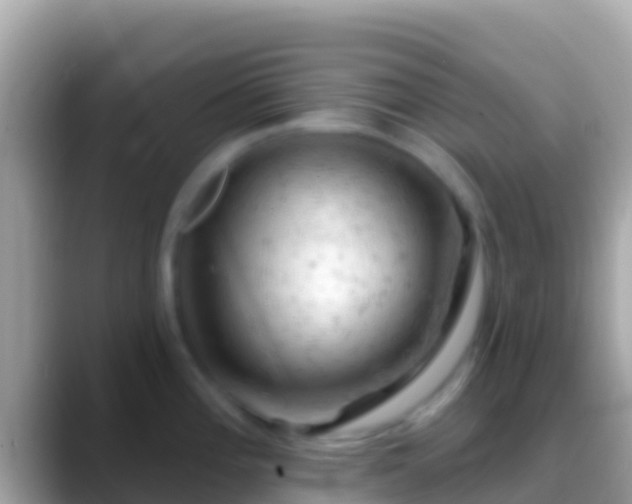 X0000088651196200706011215