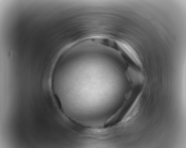 X0000088651197200706011215