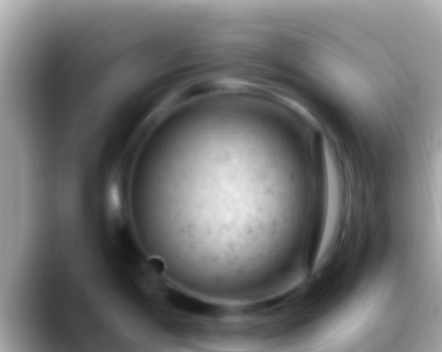 X0000088651198200706011215