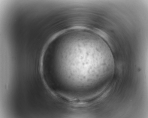 X0000088651199200706011215
