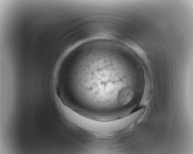 X0000088651200200706011215
