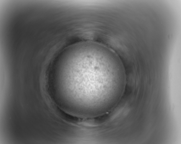 X0000088651201200706011215