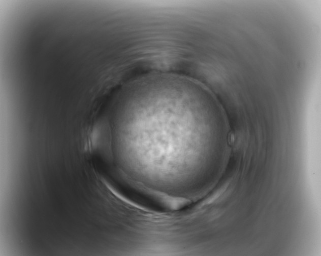 X0000088651202200706011215