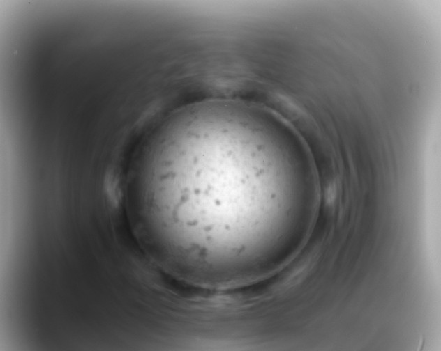 X0000088651204200706011215