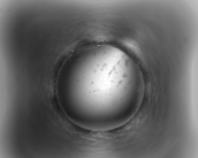 X0000088651205200706011215