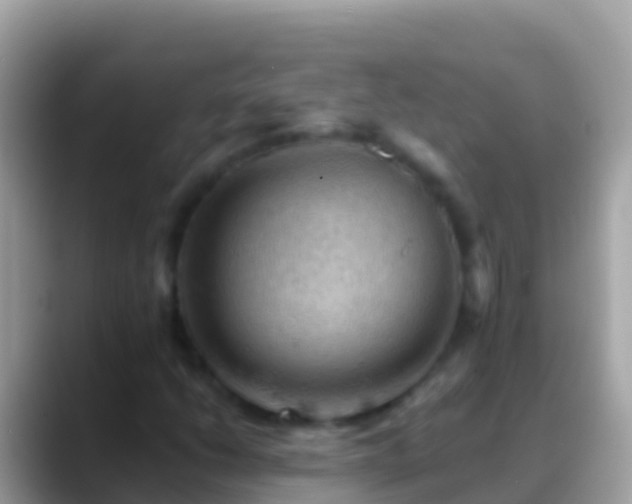 X0000088651206200706011215