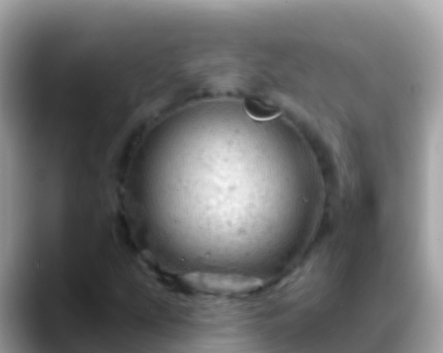 X0000088651207200706011215