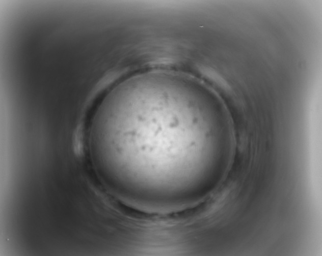X0000088651208200706011215