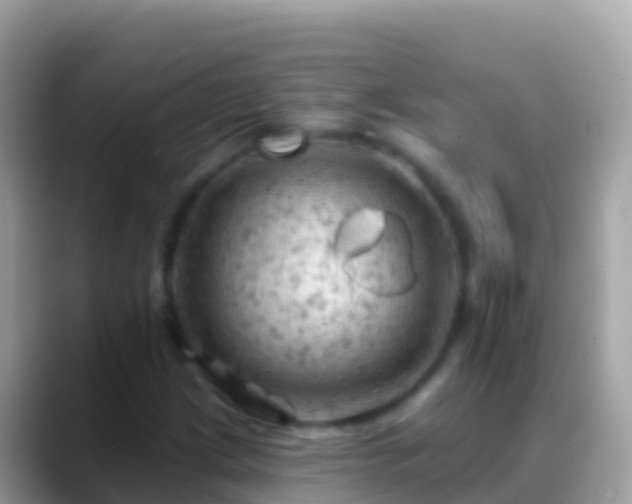 X0000088651209200706011215