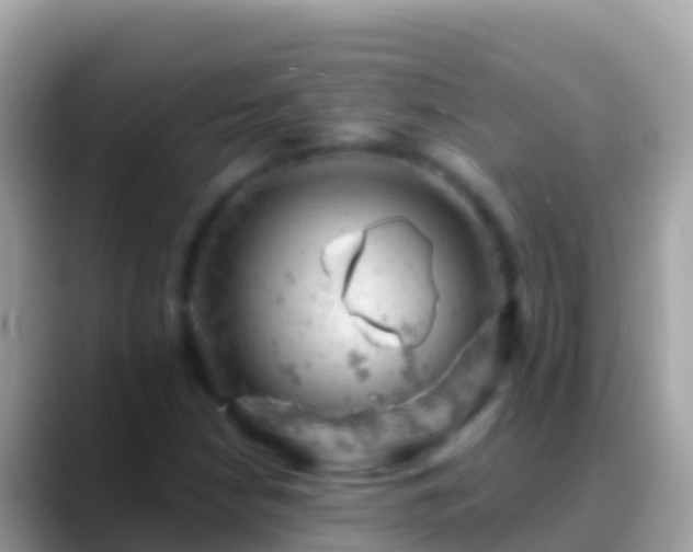 X0000088651210200706011215