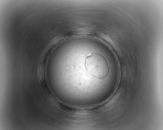 X0000088651211200706011215