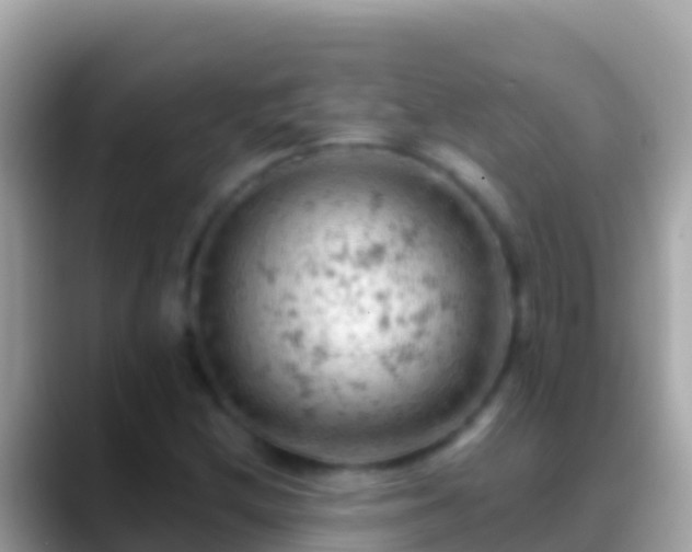 X0000088651212200706011215