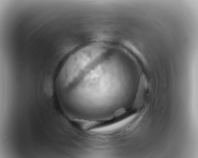 X0000088651213200706011215