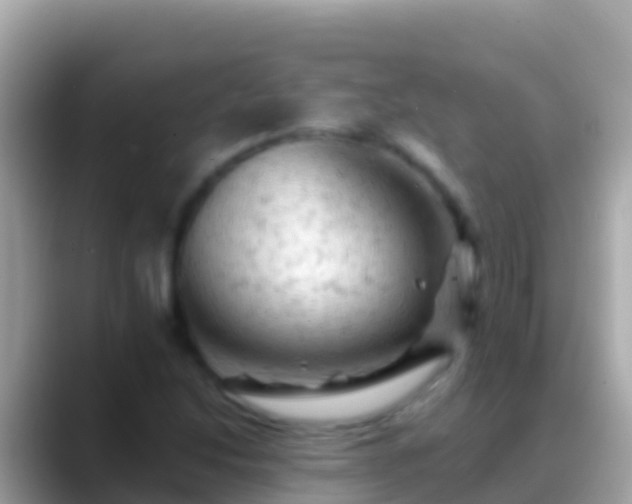 X0000088651214200706011215